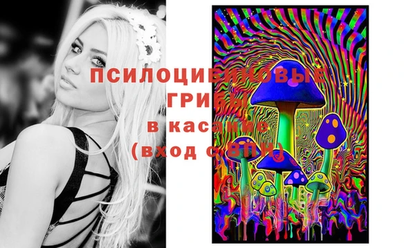 героин Пересвет