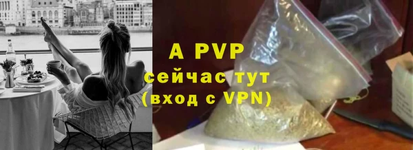 крисы Переславль-Залесский
