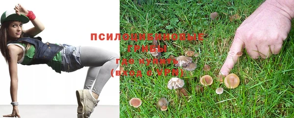героин Пересвет